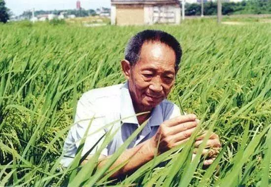 一日三餐，米香彌漫，飽食者當(dāng)憶袁公！